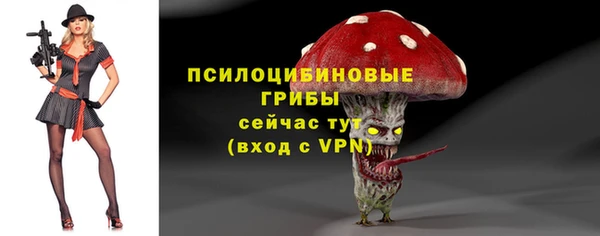 ALPHA-PVP Алексеевка