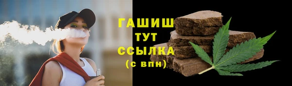 прущий лед Алзамай