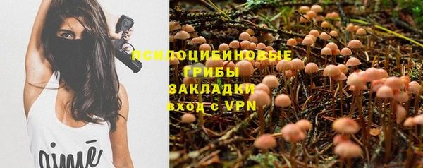 прущий лед Алзамай